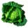 Savoia fresca ca.1kg x 8
