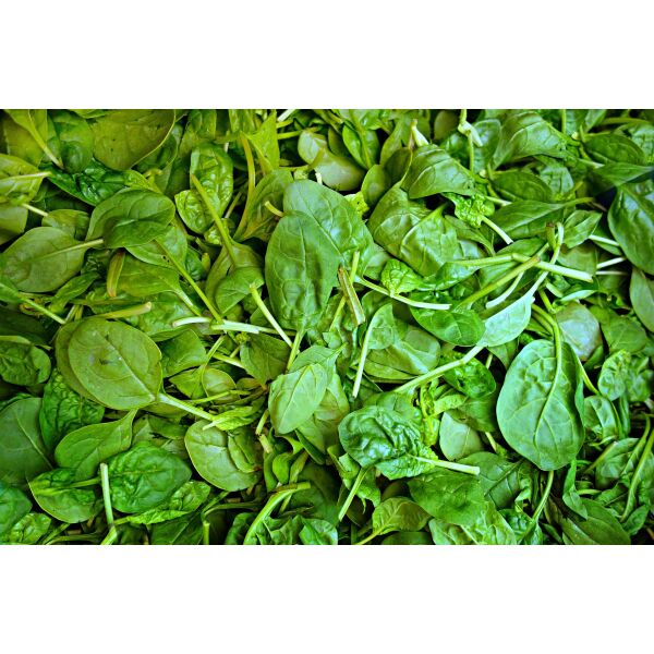 Spinaci freschi sacco 500g