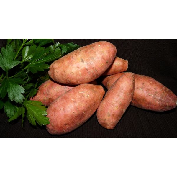 Kartoffel frisch SueÃŸkartoffel - Kiste ca.6kg