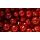 Ribes fresco - tazza 125gr x 8