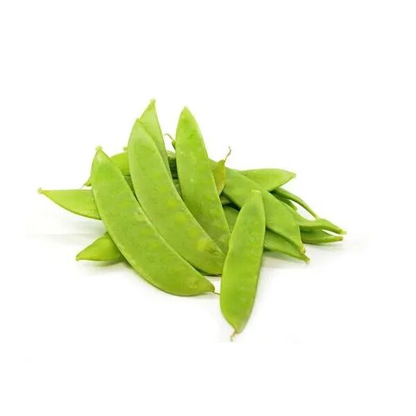 Erbsenschoten Zuckerschoten frisch - Tasse 250gr x 12