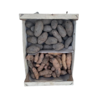 Kartoffel frisch BLAU Kiste 10kg