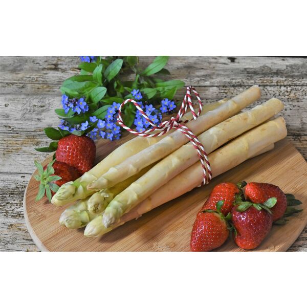 Spargel frisch gruen ITALIEN 20+ ca.5kg / Ki (5 Bund a ca. 1kg)
