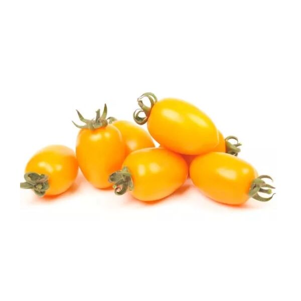 Pomodori Datterini freschi gialli ca.4kg / ca