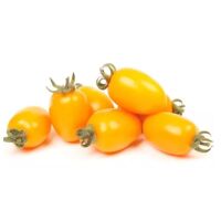 Tomaten frisch Datterini gelb (Datteltomaten) ca.4kg / Ki