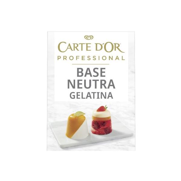 Prep. base neutra GELATINA 1kg x 6 Carte DOr cod.29536601