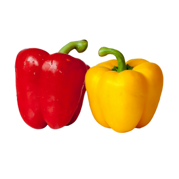 Peperoni freschi misti rossi/gialli ca.5kg / ca