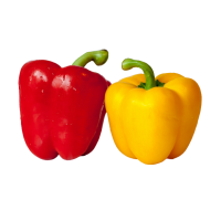 Peperoni frisch gemischt rot/gelb ca.5kg / Ki