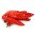 Peperoni frisch rot Spitzpaprika (corno) laenglich ca.5kg / Ki