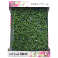 Kresse frisch Affilla (Erbsenkresse)- Kiste 1kg 