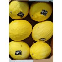 Melone Honigmelone (innen weiÃŸ) ca.1,2kg x 7